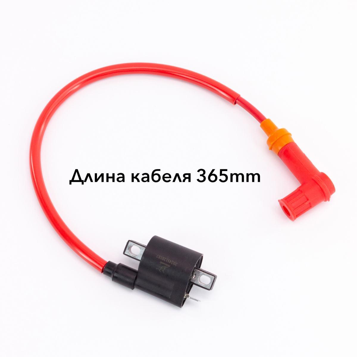 IMG_9964_ копия