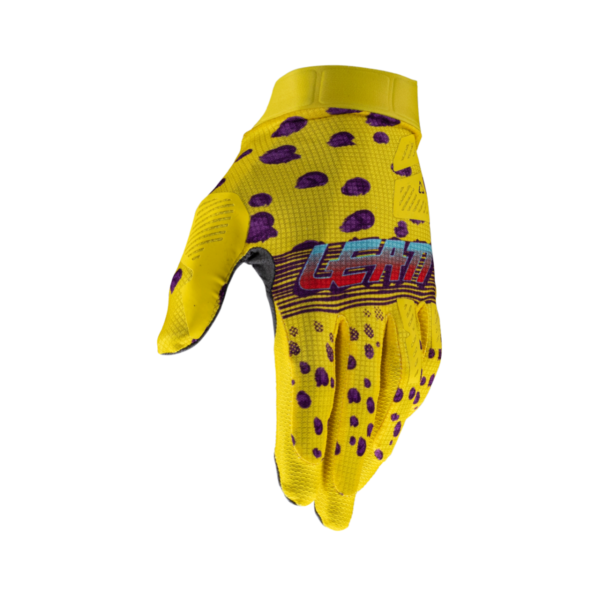 xa61vvcz1draoc8g6bgzb6s6w6lnwgzs